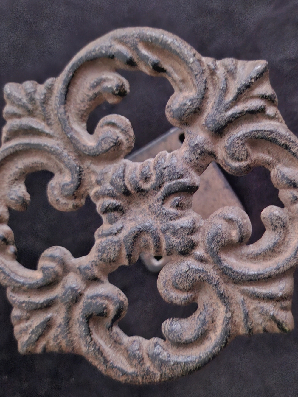 Ornate Cast Iron Wall Hook